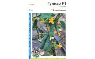 Гуннар F1 / Gunnar F1