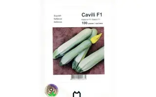 Кавили F1 / Cavili F1