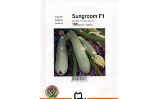 Сангрум F1 / Sungroom F1