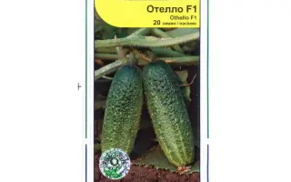 Отелло F1 / Othello F1