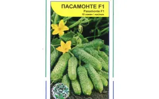 Пасамонте F1 / Pasamonte F1