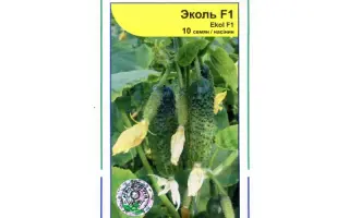 Эколь F1 / Ecol F1