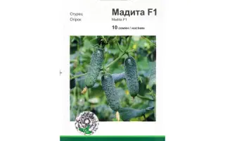 Мадита F1 / Madita F1