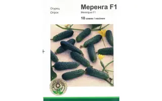 Меренга F1 / Merengue F1