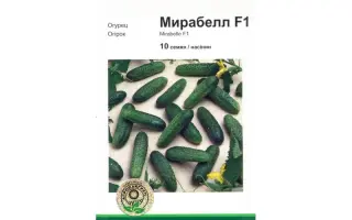 Мирабелл F1 / Mirabelle F1
