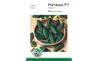 Наташа F1 / Natasja Mix F1