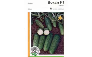 Вокал РЦ F1 / Vokal RZ F1