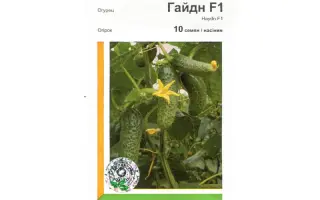 Гайдн F1 / Haydn F1