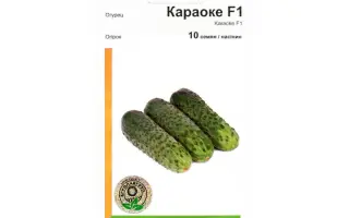 Караоке РЦ F1 / Karaoke RZ F1