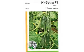 Кибрия РЦ F1 / Kybria RZ F1