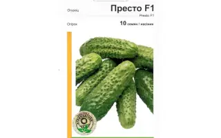 Престо РЦ F1 / Presto RZ F1