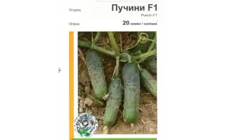 Пучини РЦ F1 / Puccini RZ F1