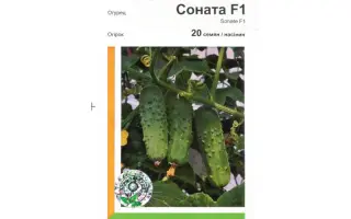 Соната РЦ F1 / Sonate RZ F1