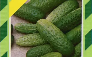 Аккорд F1 / Akord F1