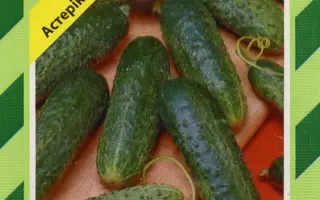 Астерикс F1 / Asterix F1