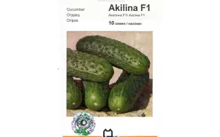 Акилина F1 / Akilina F1