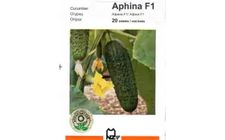 Афина F1 / Aphina F1