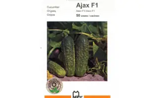 Аякс F1 / Ajax F1