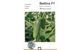 Беттина F1 / Bettina F1