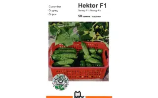 Гектор F1 / Hektor F1