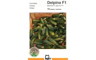 Делпина F1 / Delpina F1