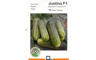 Джустина F1 / Justina F1