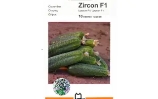 Циркон F1 / Zircon F1