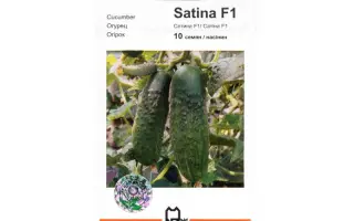 Сатина F1 / Satina F1