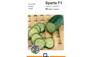 Спарта F1 / Sparta F1
