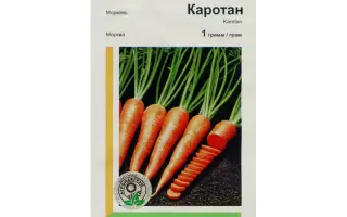 Каротан РЦ / Karotan RZ