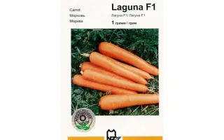 Лагуна F1 / Laguna F1