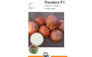 Пандеро F1 / Pandero F1