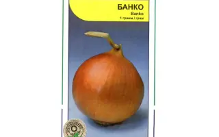 Банко / Banco