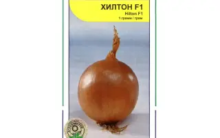 Хилтон F1 / Hilton F1