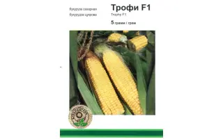 Трофи F1 / Trophy F1