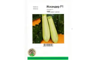 Искандер F1 / Eskanderany F1