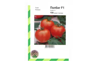 Полбиг F1 / Polbig F1