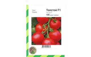 Толстой F1 / Tolstoi F1