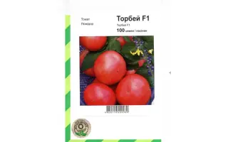 Торбей F1 / Torbay F1
