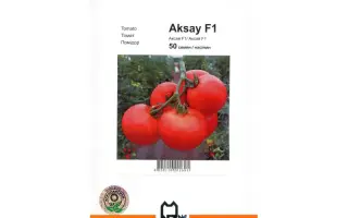 Аксай F1 / Aksay F1