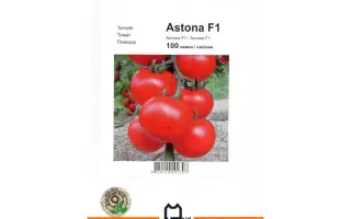 Астона F1 / Astona F1
