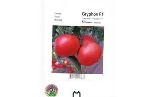 Грифон F1 / Gryphon F1