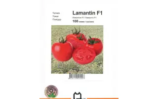 Ламантин F1 / Lamantin F1