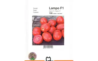 Лампо F1 / Lampo F1