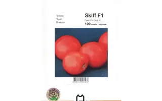 Скиф F1 / Skiff F1