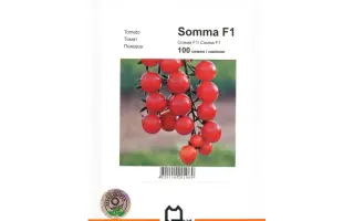 Сомма F1 / Somma F1