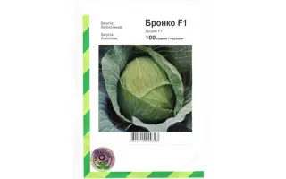 Бронко F1 / Bronco F1