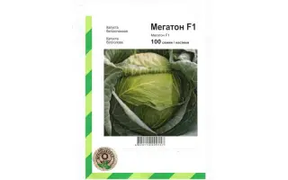 Мегатон F1 / Megaton F1