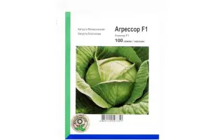 Агрессор F1 / Agressor F1