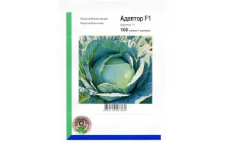 Адаптор F1 / Adaptor F1